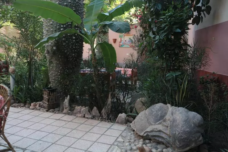 Fotos del hotel Amon:  24