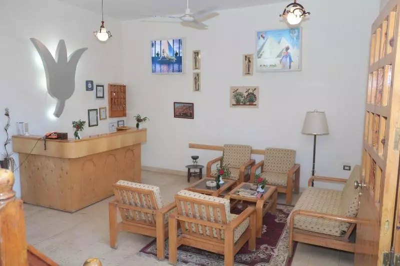 Fotos del hotel Amon:  7