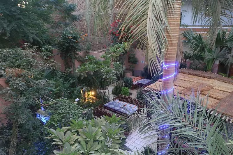 Fotos del hotel Amon:  25