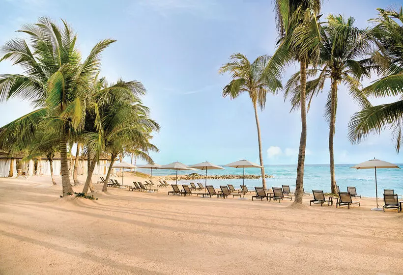 Fotos del hotel Hyatt Zilara Rose Hall Adults Only - All Inclusive:  19