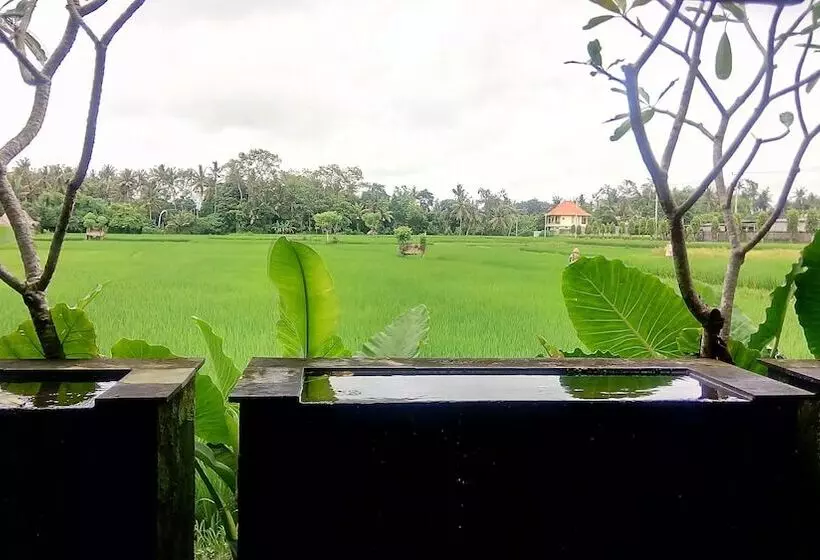 Fotos del hotel Villa Kayu Lama:  8