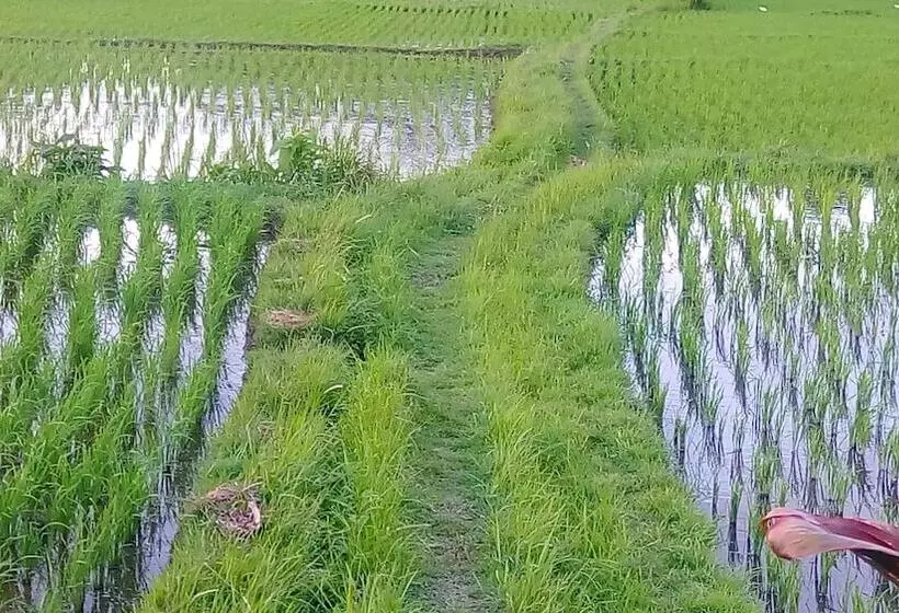 Fotos del hotel Villa Kayu Lama:  7