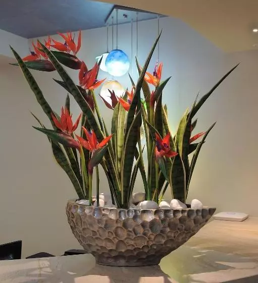 Fotos del hotel Nelia Gardens:  4