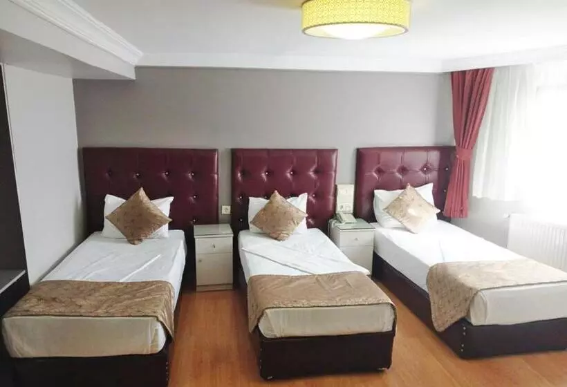 Fotos del hotel Sureyya:  10