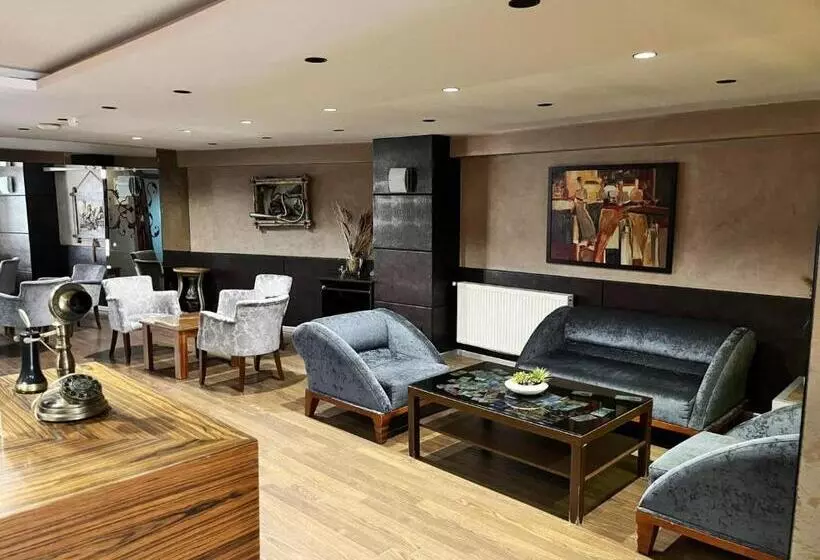 Fotos del hotel Sureyya:  7