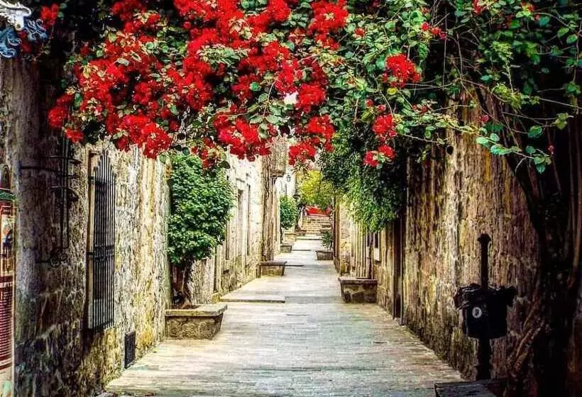 Fotos del hotel Boutique Casa Madero:  13