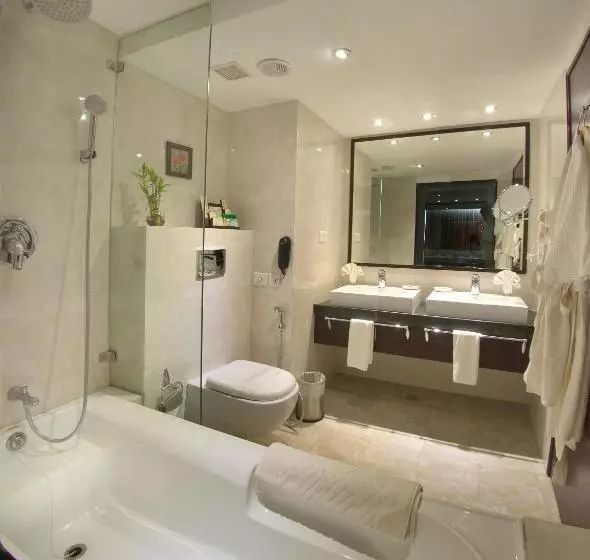 Fotos del hotel Fern Residency Jodhpur:  7