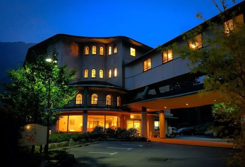 Fotos del hotel Hakonenomori Okada:  13