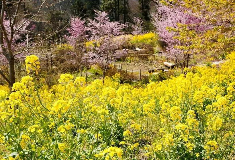 Fotos del hotel Hakonenomori Okada:  7