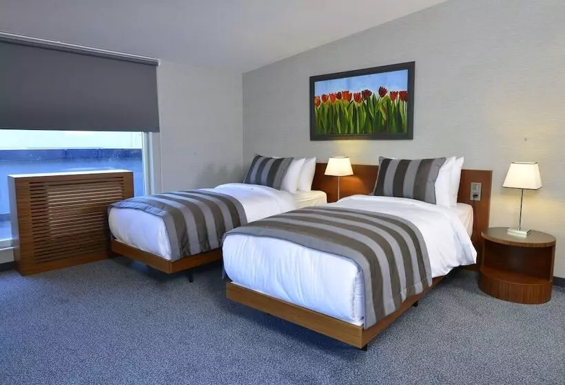 Fotos del hotel Modus Hotel Istanbul:  21