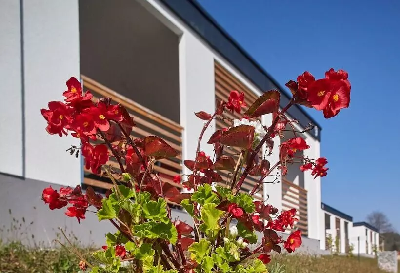 Fotos del hotel Terme Jezercica:  17