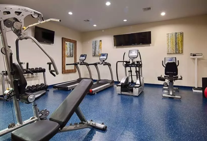 Fotos del hotel Best Western Premier Ashton Suites  Willowbrook:  5