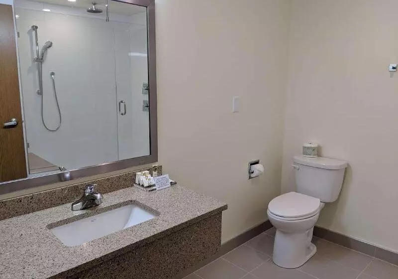 Fotos del hotel Best Western Premier Ashton Suites  Willowbrook:  8