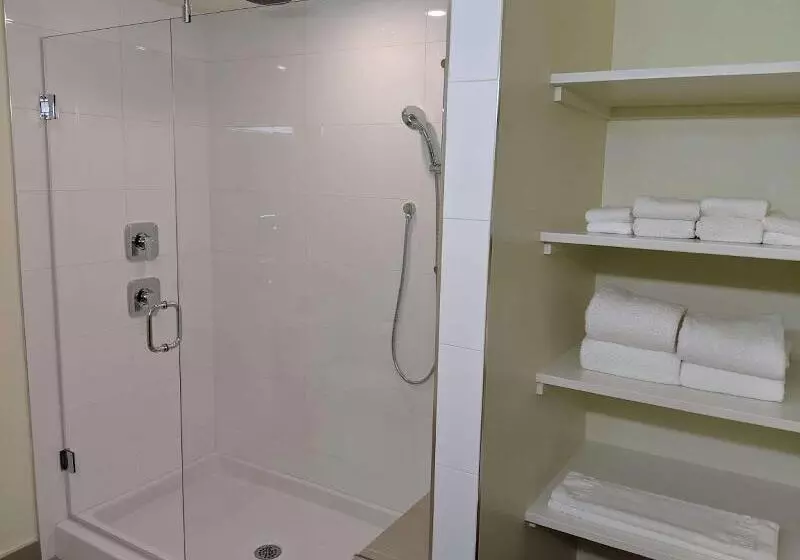 Fotos del hotel Best Western Premier Ashton Suites  Willowbrook:  17