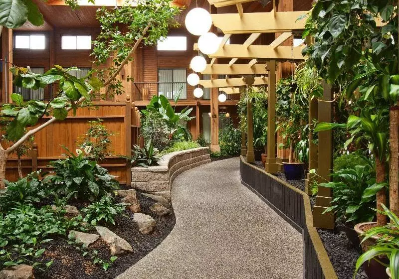 Fotos del hotel Best Western Premier Ashton Suites  Willowbrook:  14