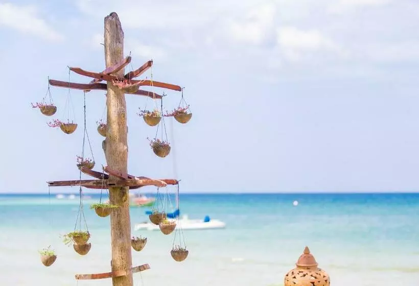 Fotos del hotel Andaman Bangtao Bay Resort:  2