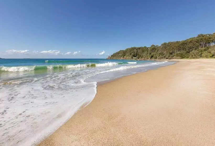 Fotos del hotel Club Wyndham Coffs Harbour, Trademark Collection By Wyndham:  17