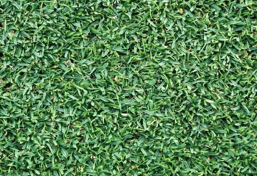 Fotos del hotel Devera:  10