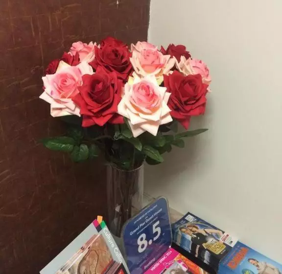 Fotos del hotel Grand Pier Guest House:  11