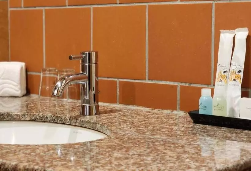 Fotos del hotel Swan Garden:  10