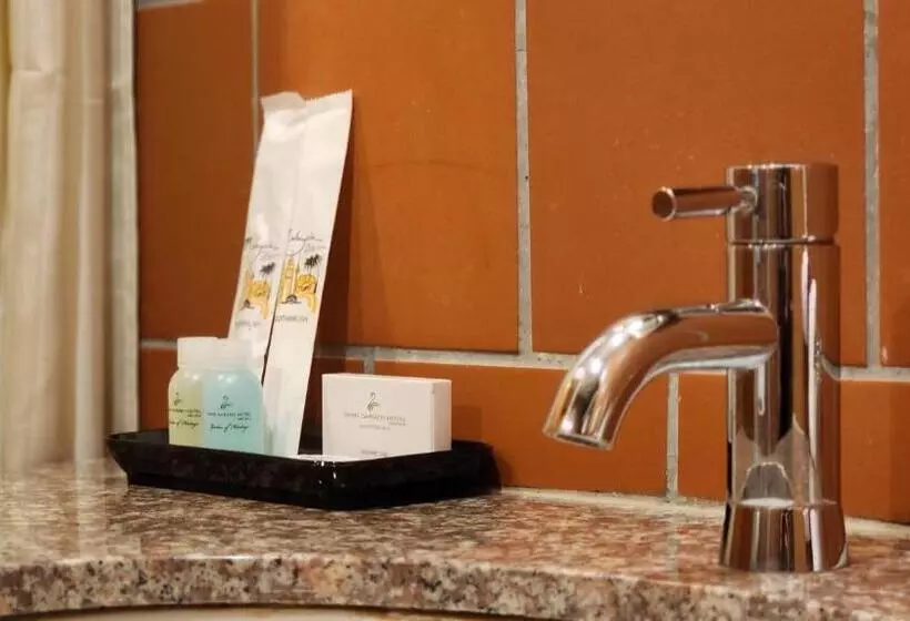 Fotos del hotel Swan Garden:  13