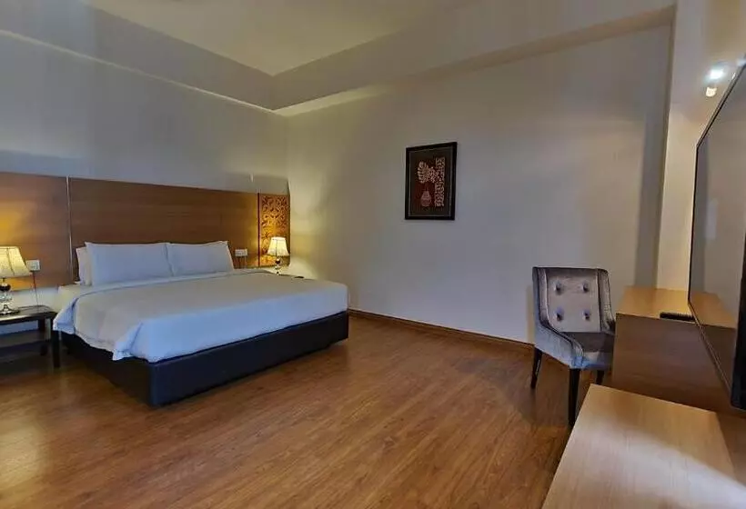 Fotos del hotel Swan Garden:  5