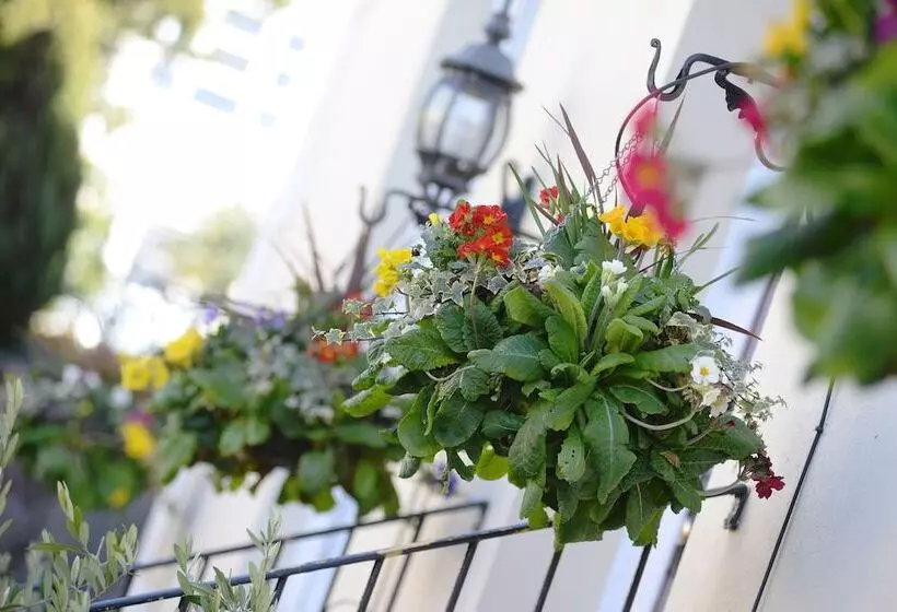 Fotos del hotel The Cleveland:  11