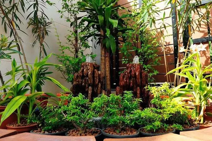 Fotos del hotel Aravinda Living Home:  17