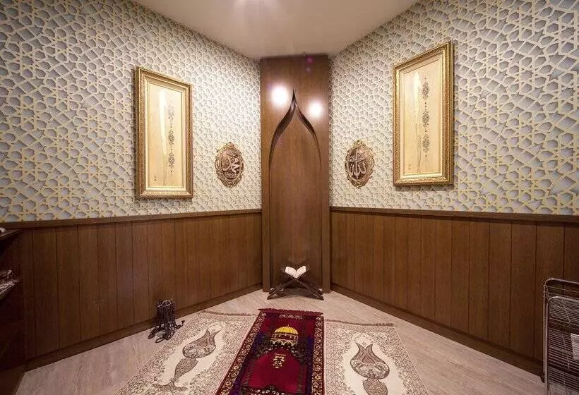 Fotos del hotel Grand  De Pera:  6