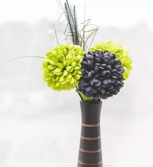 Fotos del hotel The Oakwheel:  19