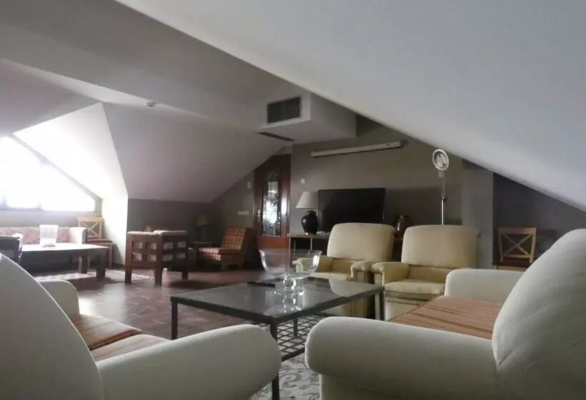 Fotos del hotel Vivar:  14