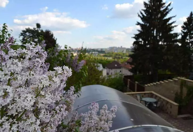 Fotos del hotel Pension Nika:  7