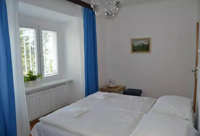 Fotos del hotel Pension Nika:  13