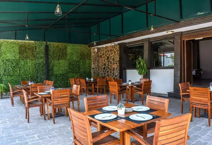 Fotos del hotel The Latit  Querétaro:  9