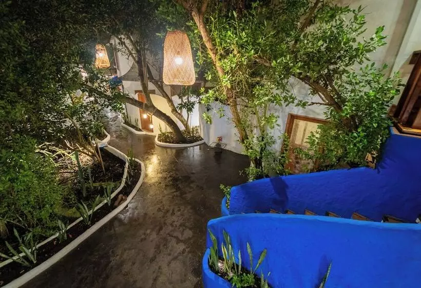 Fotos del hotel Galapagos Habitat By Eco Luxury Group:  65