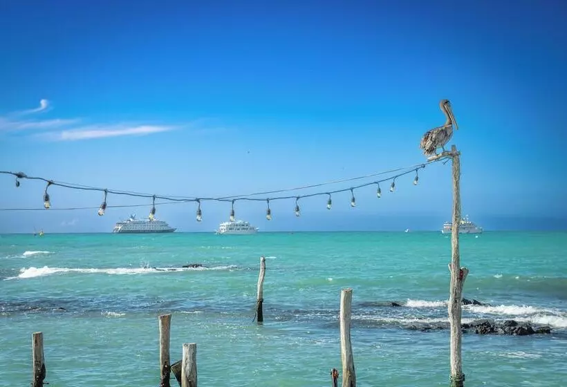 Fotos del hotel Galapagos Habitat By Eco Luxury Group:  38