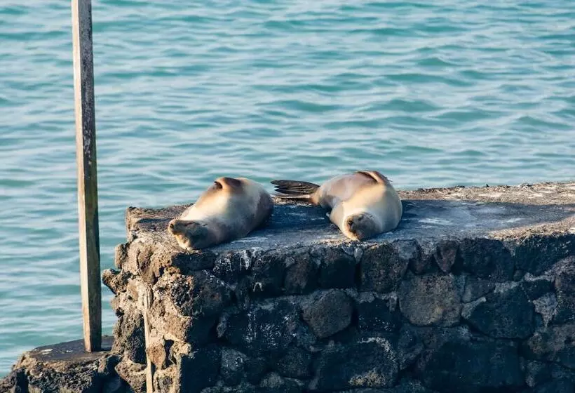 Fotos del hotel Galapagos Habitat By Eco Luxury Group:  32