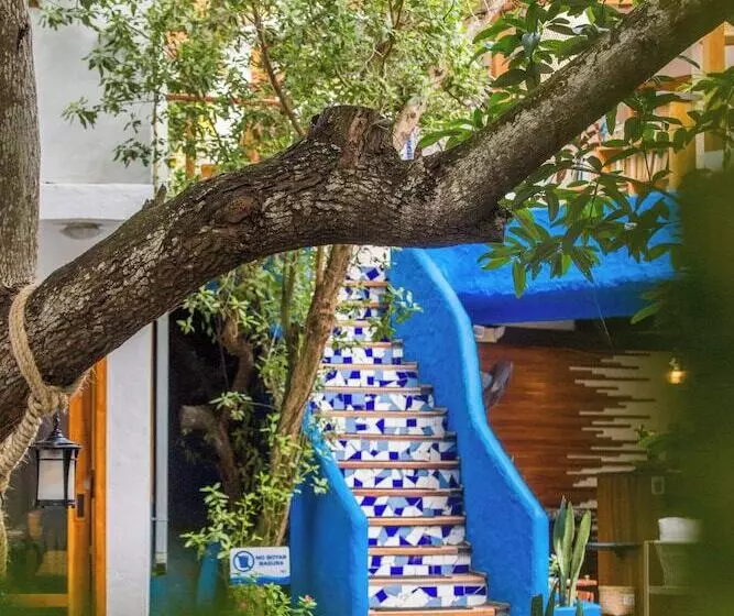 Fotos del hotel Galapagos Habitat By Eco Luxury Group:  123