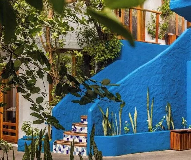 Fotos del hotel Galapagos Habitat By Eco Luxury Group:  66