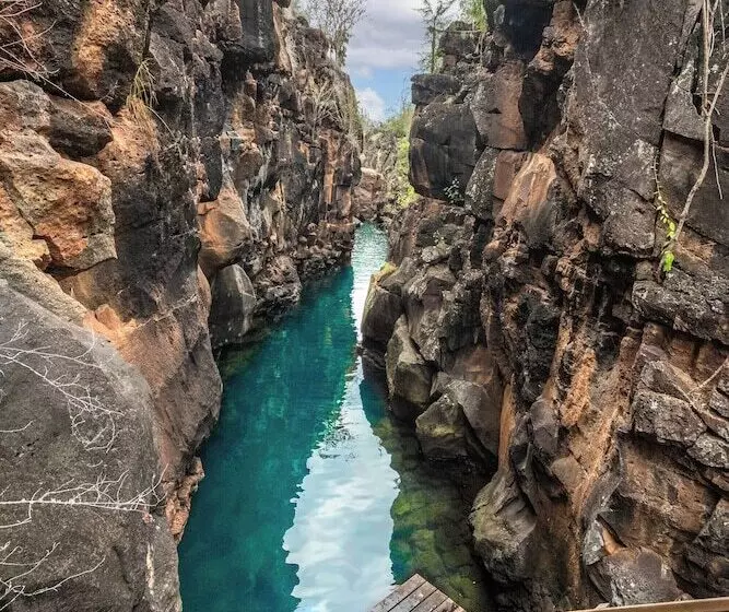 Fotos del hotel Galapagos Habitat By Eco Luxury Group:  97