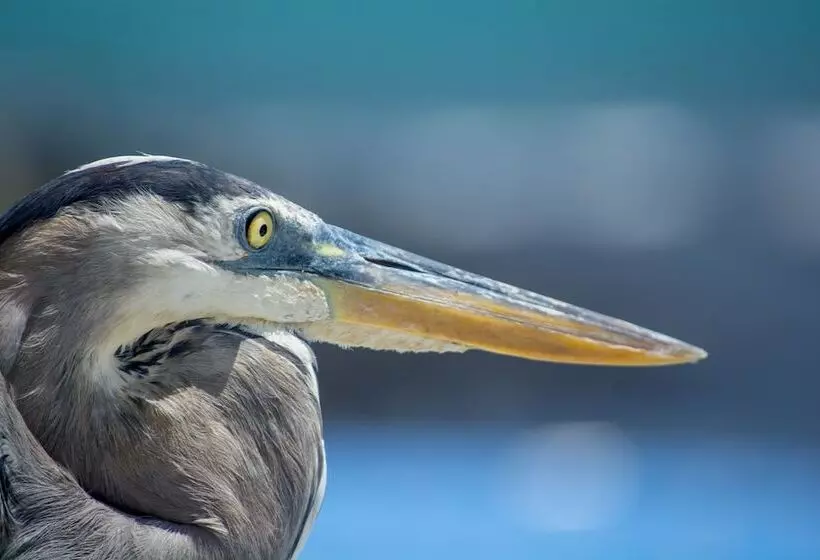 Fotos del hotel Galapagos Habitat By Eco Luxury Group:  82