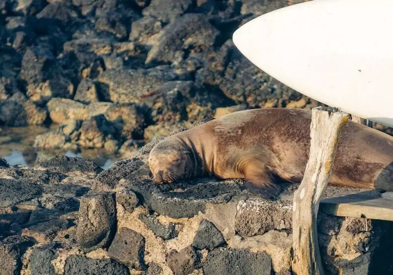 Fotos del hotel Galapagos Habitat By Eco Luxury Group:  31
