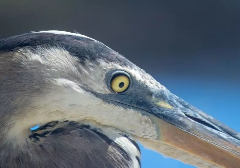 Fotos del hotel Galapagos Habitat By Eco Luxury Group:  84