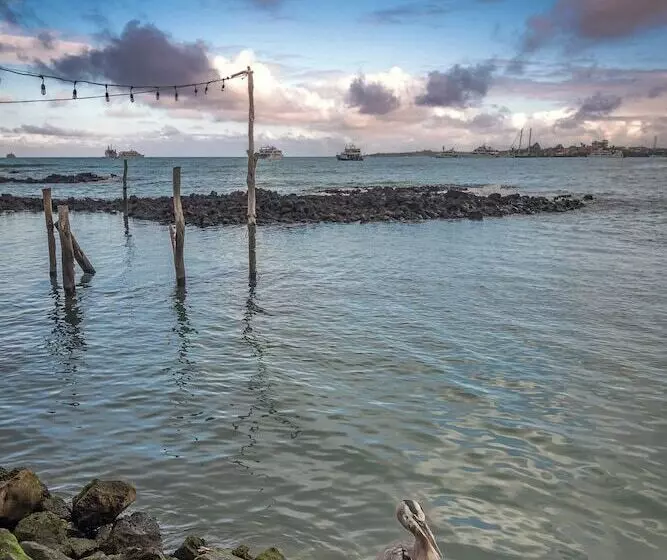 Fotos del hotel Galapagos Habitat By Eco Luxury Group:  95