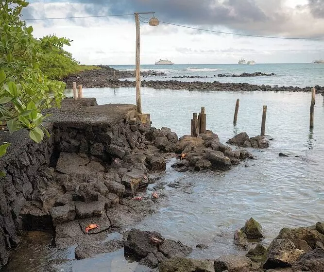 Fotos del hotel Galapagos Habitat By Eco Luxury Group:  96