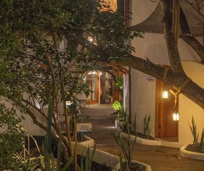 Fotos del hotel Galapagos Habitat By Eco Luxury Group:  100