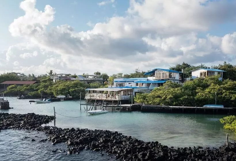 Fotos del hotel Galapagos Habitat By Eco Luxury Group:  41