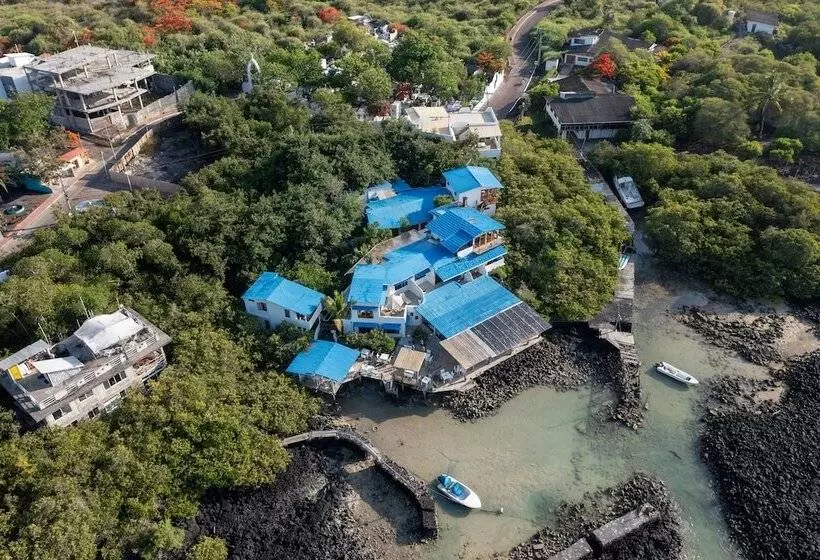 Fotos del hotel Galapagos Habitat By Eco Luxury Group:  105
