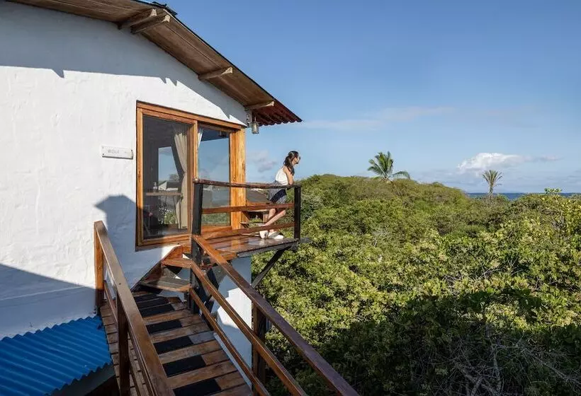 Fotos del hotel Galapagos Habitat By Eco Luxury Group:  43