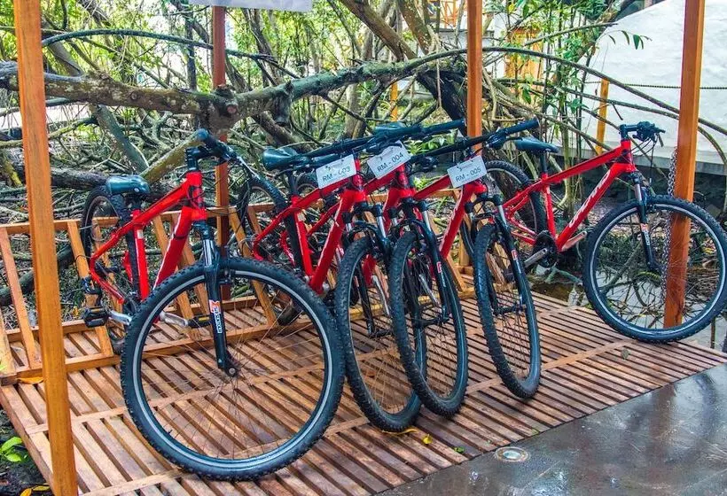 Fotos del hotel Galapagos Habitat By Eco Luxury Group:  88